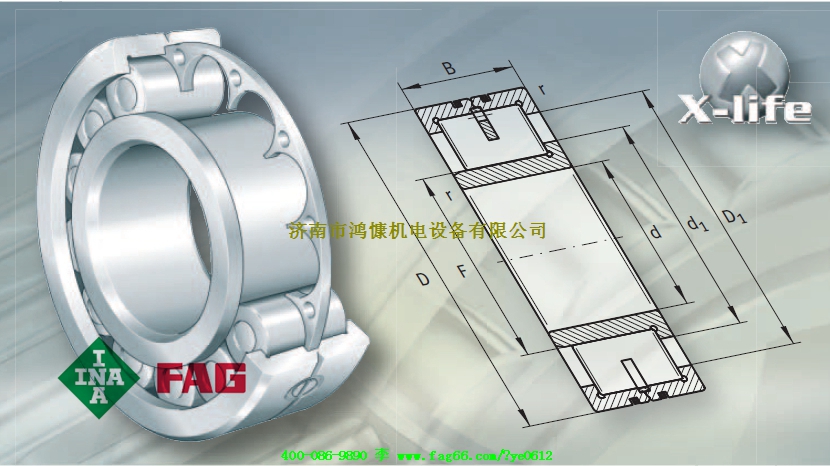 山東進口軸承&mdash;FAG軸承